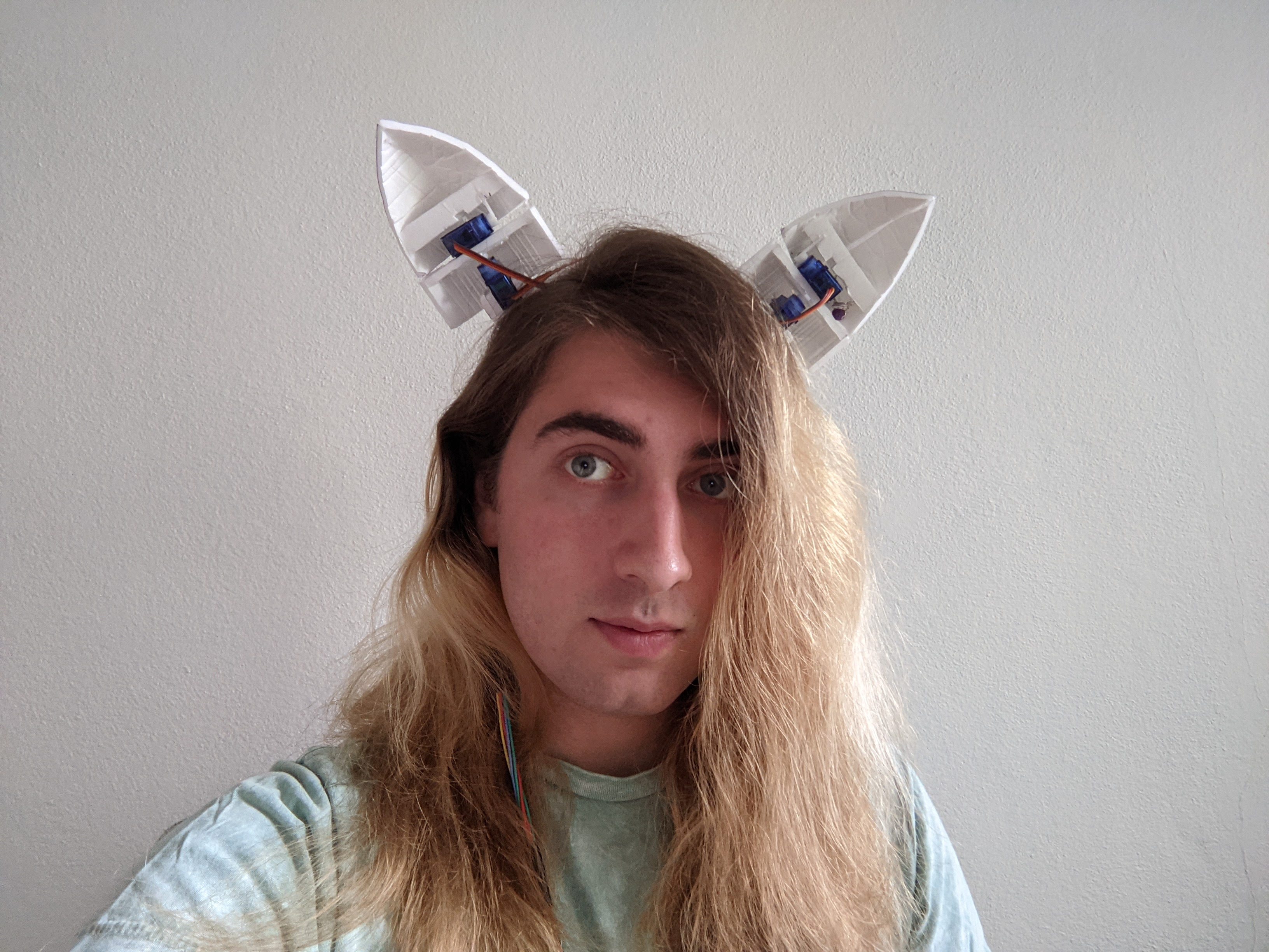 image of me wearing the ears