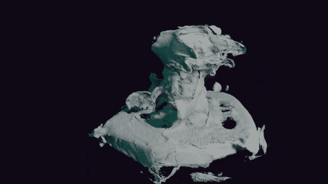 rotating gif of a high poly but messy scan